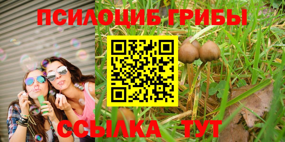 Галлюциногенные грибы Cubensis Кубинка